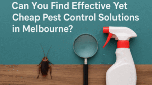 Can You Find Effective Yet Cheap Pest Control Solutions in Melbourne?