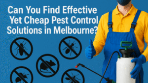 Can You Find Effective Yet Cheap Pest Control Solutions in Melbourne?