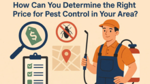 How Can You Determine the Right Price for Pest Control in Your Area?