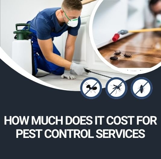 How Much Does It Cost For Pest Control Services