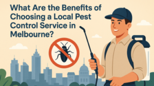 What Are the Benefits of Choosing a Local Pest Control Service in Melbourne?
