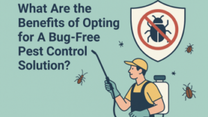 What Are the Benefits of Opting for A Bug-Free Pest Control Solution?