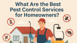 What Are the Best Pest Control Services for Homeowners?