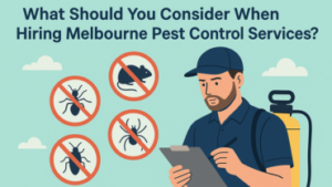 What Should You Consider When Hiring Melbourne Pest Control Services?
