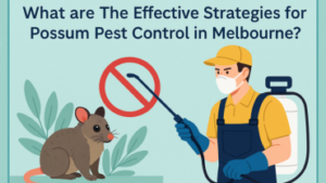 What are The Effective Strategies for Possum Pest Control in Melbourne?