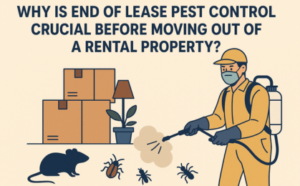 Why is end of lease pest control crucial before moving out of a rental property?