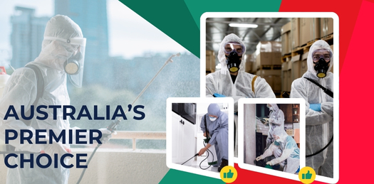 Australia's Dependable Choice for Pest Control