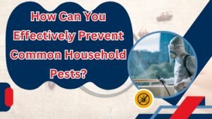 How Can You Effectively Prevent Common Household Pests?