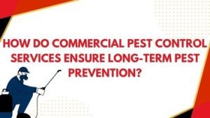 How Do Commercial Pest Control Services Ensure Long-Term Pest Prevention?