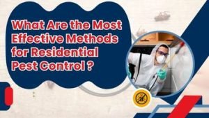 What Are the Most Effective Methods for Residential Pest Control?